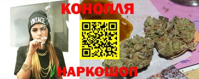 mdpv Краснознаменск