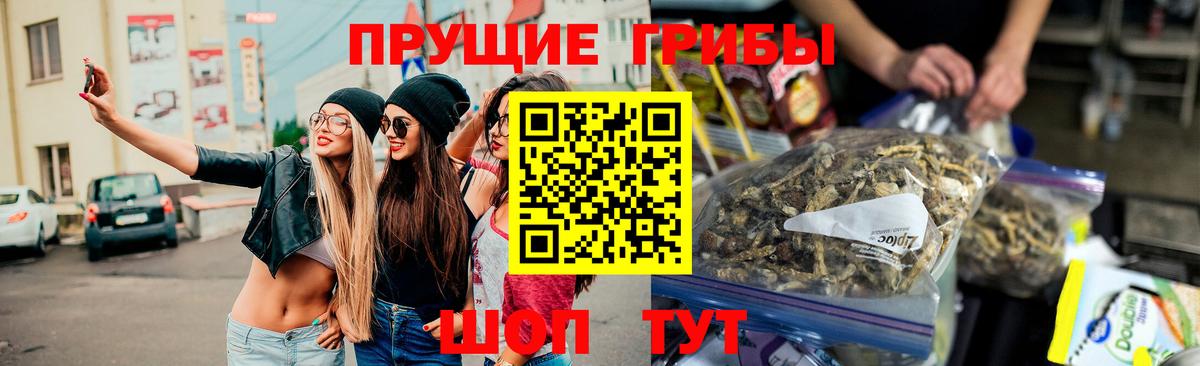 Галлюциногенные грибы Psilocybine cubensis  Вход с VPN  Кисловодск 